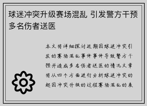 球迷冲突升级赛场混乱 引发警方干预多名伤者送医
