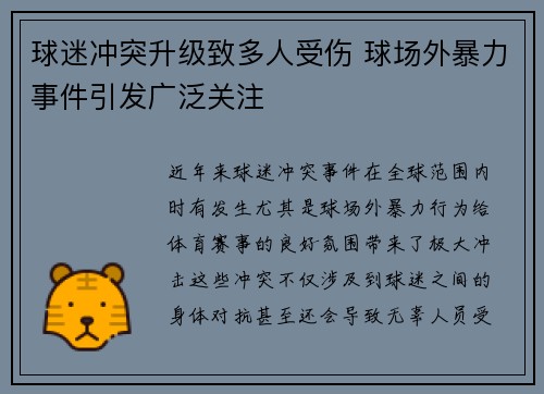 球迷冲突升级致多人受伤 球场外暴力事件引发广泛关注