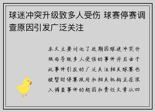 球迷冲突升级致多人受伤 球赛停赛调查原因引发广泛关注
