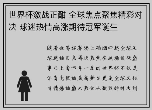 世界杯激战正酣 全球焦点聚焦精彩对决 球迷热情高涨期待冠军诞生